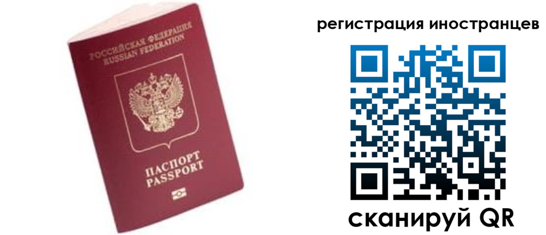 прописка гарантия в Ипатово